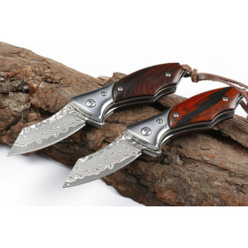 Damascus Blade Material Warbird Outdoor Folding Knife Portable Pocket Knife with High Sharpness for DIY & Camping UD405519
